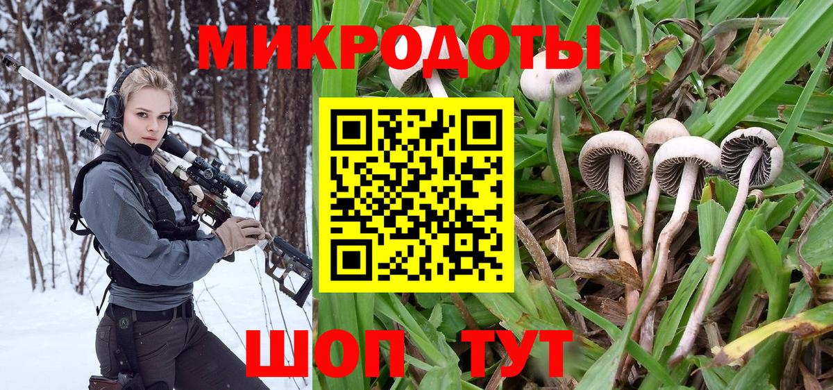 Псилоцибиновые грибы Psilocybine cubensis Ульяновск