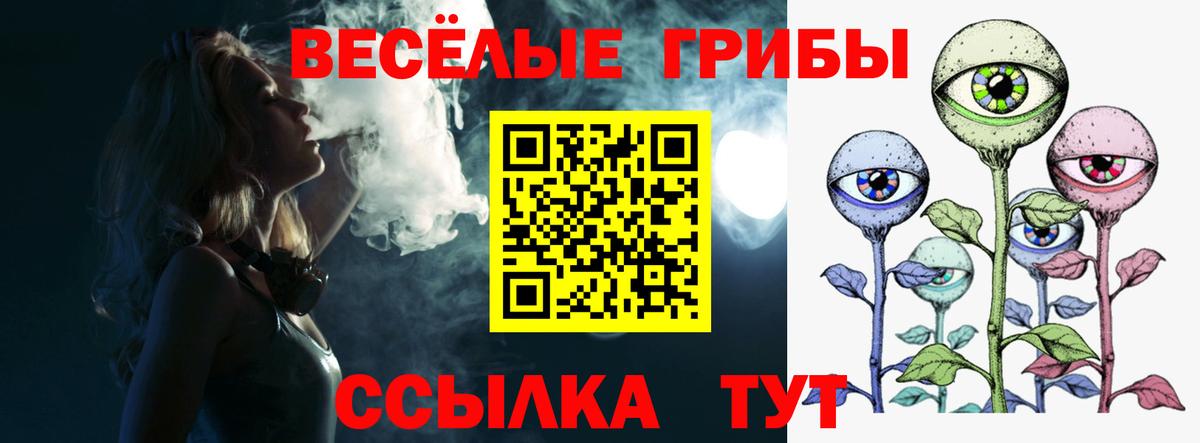 Псилоцибиновые грибы Psilocybine cubensis  Галлюциногенные грибы GOLDEN TEACHER  Вход с VPN  Ульяновск 
